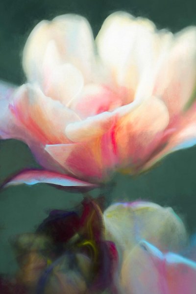 Emergence II by Helen White